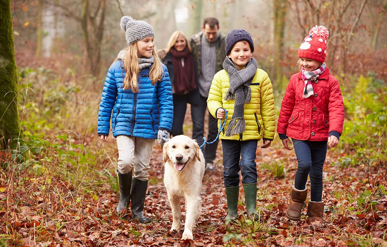 children walking on a forest trail